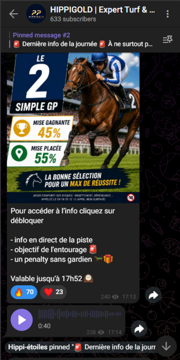Aperçu du canal Telegram